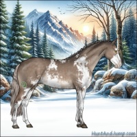 Horse Color:Silver Brown Dun Sabino Rabicano 