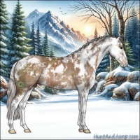 Horse Color:Silver Brown Dun Sabino 