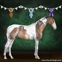 Horse Color:White Spotted Brown Dun Tobiano
