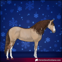 Horse Color:Gray White Spotted Red Dun Tobiano 