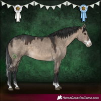Horse Color:Brown Dun Sabino