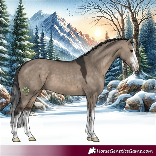Horse Color:White Spotted Brown Dun 
