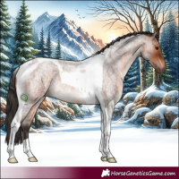 Horse Color:Brown Roan Tobiano 