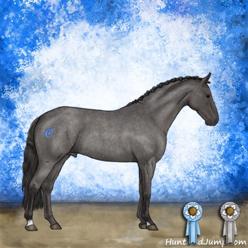 Horse Color:Smoky Blue Roan 