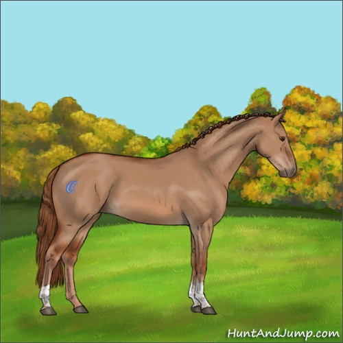 Horse Color:Red Dun Tobiano Rabicano