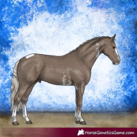 Horse Color:Silver Black Sabino Tobiano