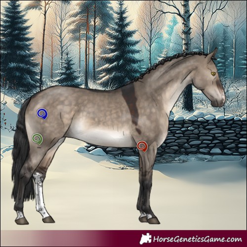 Horse Color:Brown Dun Sabino 