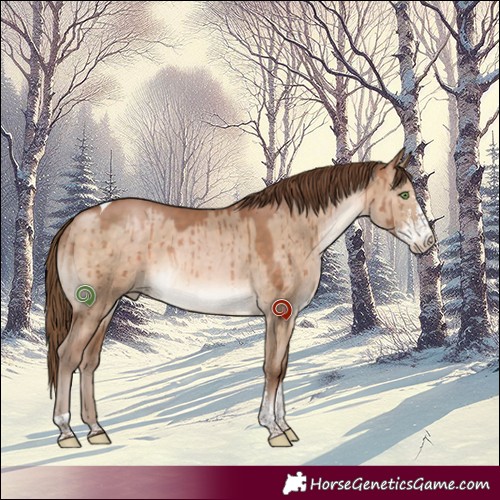 Horse Color:Brown Pearl Dun Sabino Tobiano Brindle 
