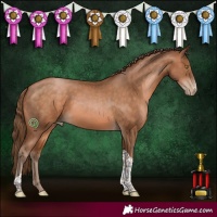 Horse Color:Brown Pearl Sabino Tobiano