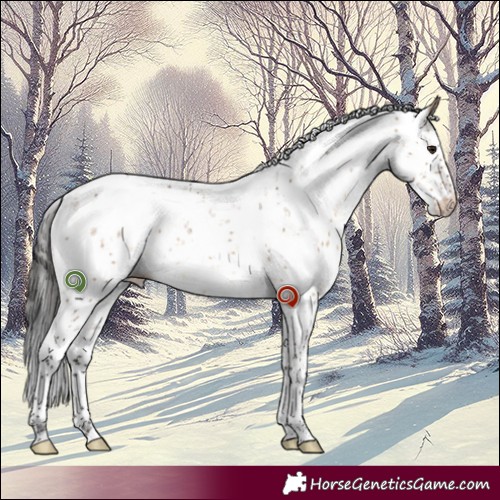 Horse Color:Brown Dun Sabino Rabicano Brindle 