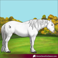 Horse Color:Platinum Brown Dun Varnish 