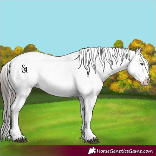 Horse Color:Platinum Liver Chestnut Appaloosa Rabicano 