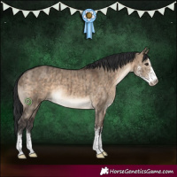 Horse Color:Brown Dun Sabino Brindle