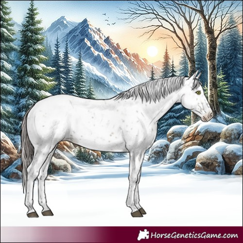 Horse Color:Brown Dun Sabino Blanket Brindle