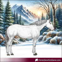 Horse Color:Brown Dun Sabino Appaloosa Brindle 