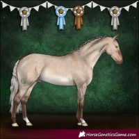 Horse Color:Silver Brown Roan Dun 