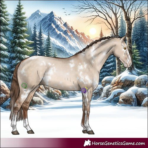 Horse Color:White Spotted Brown Pearl Dun Sabino Rabicano