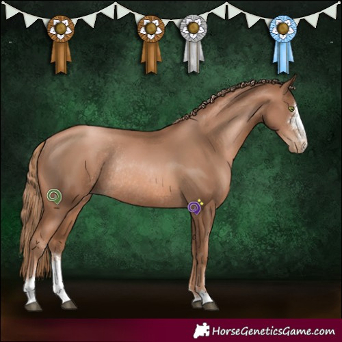 Horse Color:Liver Chestnut Pearl Sabino Rabicano
