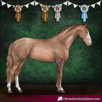 Horse Color:Liver Chestnut Pearl Sabino Rabicano