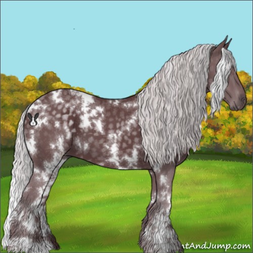 Horse Color:White Spotted Chocolate Silver Black Chinchilla 