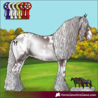 Horse Color:White Spotted Chocolate Silver Blue Onyx Chinchilla 