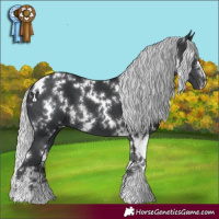 Horse Color:White Spotted Silver Black Chinchilla 