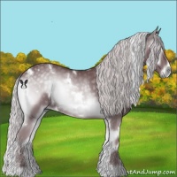 Horse Color:White Spotted Chocolate Silver Blue Onyx Chinchilla
