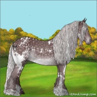 Horse Color:White Spotted Chocolate Silver Black Chinchilla 