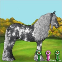 Horse Color:White Spotted Silver Black Chinchilla 