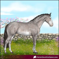 Horse Color:Platinum White Spotted Liver Chestnut 