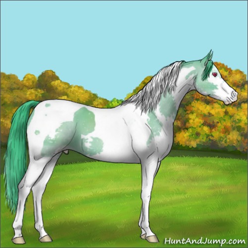 Horse Color:Watercolor Classic Cream Champagne Chinchilla Sabino Splash Tobiano 