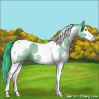 Horse Color:Watercolor Classic Cream Champagne Chinchilla Sabino Splash Tobiano 