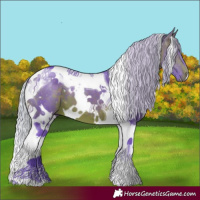 Horse Color:Watercolor White Spotted Silver Brown Tobiano 