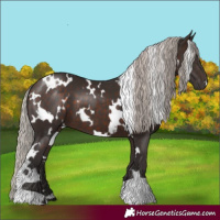 Horse Color:White Spotted Silver Brown