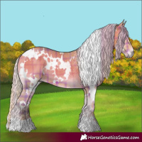 Horse Color:Watercolor Plaid White Spotted Chocolate Silver Bay Onyx