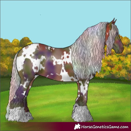 Horse Color:Nacre White Spotted Silver Bay 