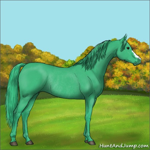 Horse Color:Watercolor Black Rabicano