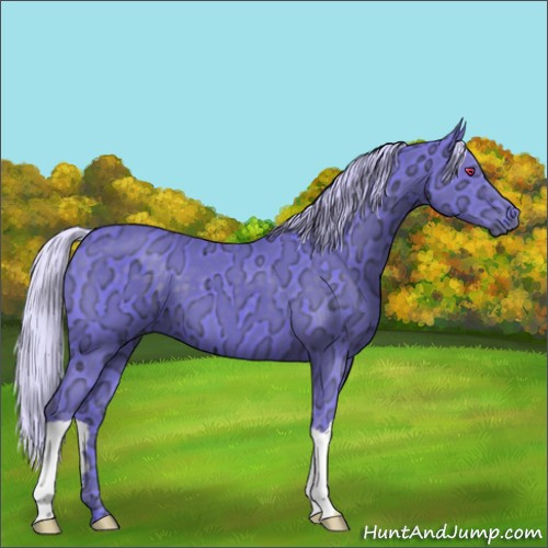 Horse Color:Watercolor Silver Smoky Black Chinchilla Ice 