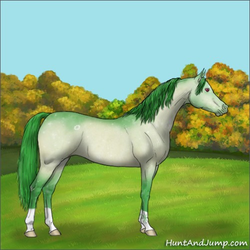 Horse Color:Watercolor Brown Chinchilla Rabicano 