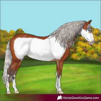 Horse Color:Silver Bay Frame