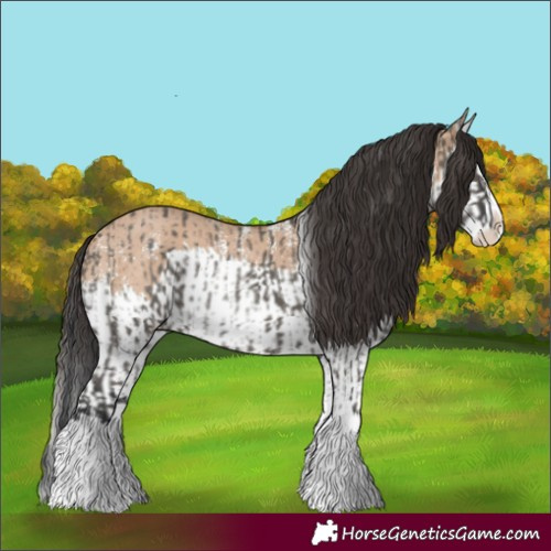 Horse Color:Grullo Sabino Splash  and Bay Dun Sabino Splash 
