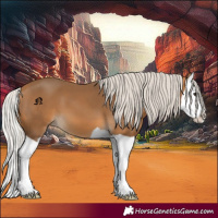 Horse Color:Silver Buckskin Splash