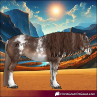Horse Color:White Spotted Liver Chestnut 