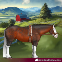 Horse Color:Brown Splash 