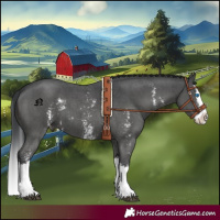 Horse Color:Black Sabino Splash 