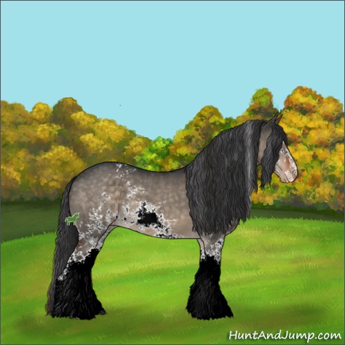 Horse Color:White Spotted Brown Dun Sabino Varnish 