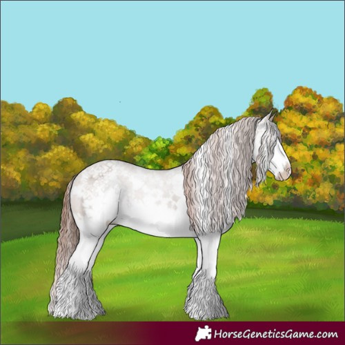 Horse Color:White Spotted Brown Dun Sabino Splash Varnish 