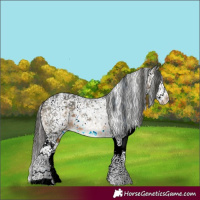 Horse Color:White Spotted Brown Sabino Snowflake Varnish