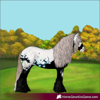 Horse Color:White Spotted Bay Ice Dun Sabino Splash Varnish 
