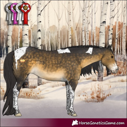 Horse Color:Buckskin Sabino Tobiano
